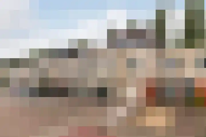 Amazone 264 Dordrecht