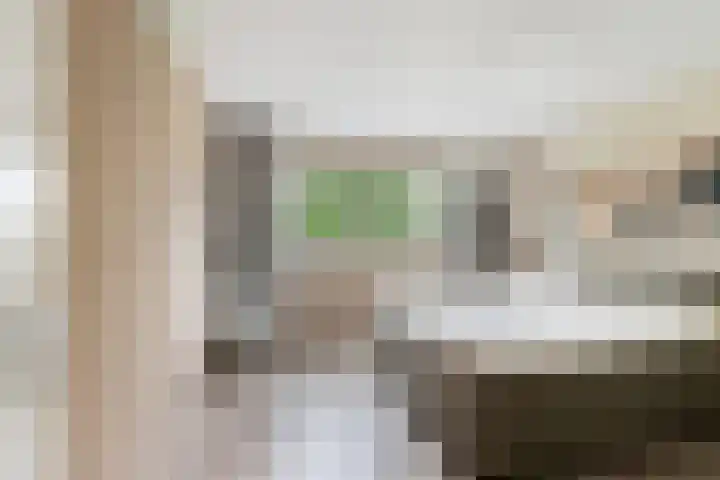 Amazone 264 Dordrecht thumbnail 23