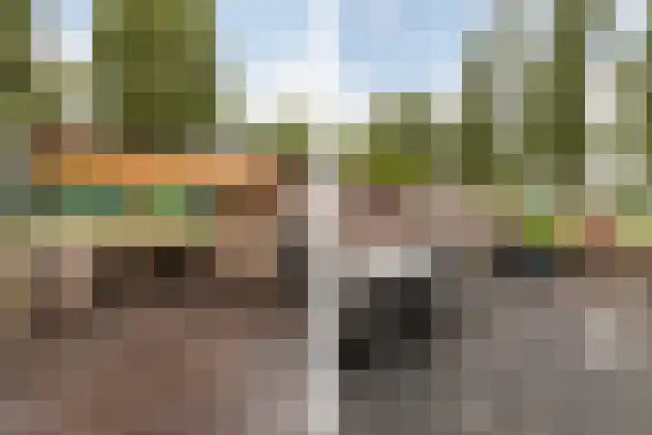 Amazone 264 Dordrecht thumbnail 29