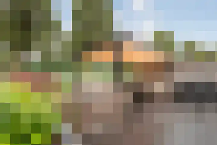Amazone 264 Dordrecht thumbnail 34
