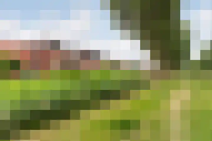 Amazone 264 Dordrecht thumbnail 5