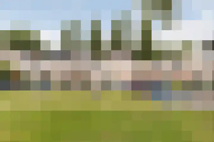 Amazone 264 Dordrecht thumbnail 6