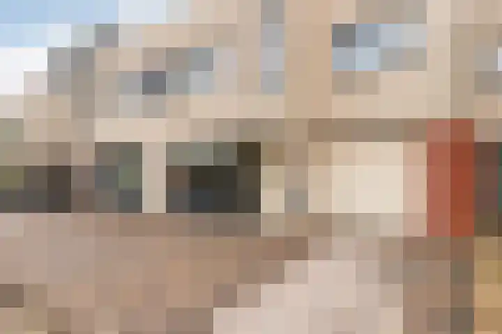 Amazone 264 Dordrecht thumbnail 7