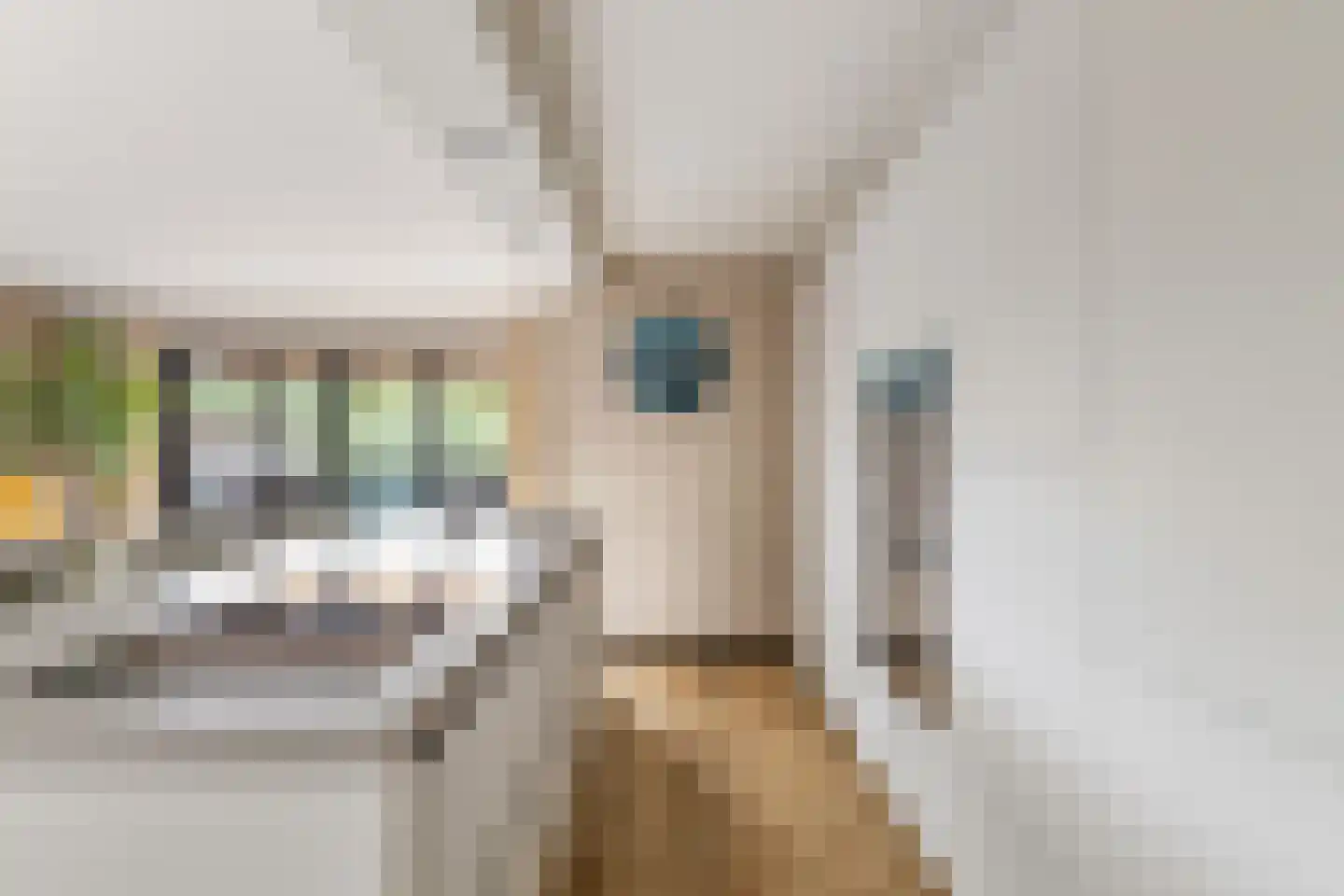 Amazone 3 Dordrecht thumbnail 35