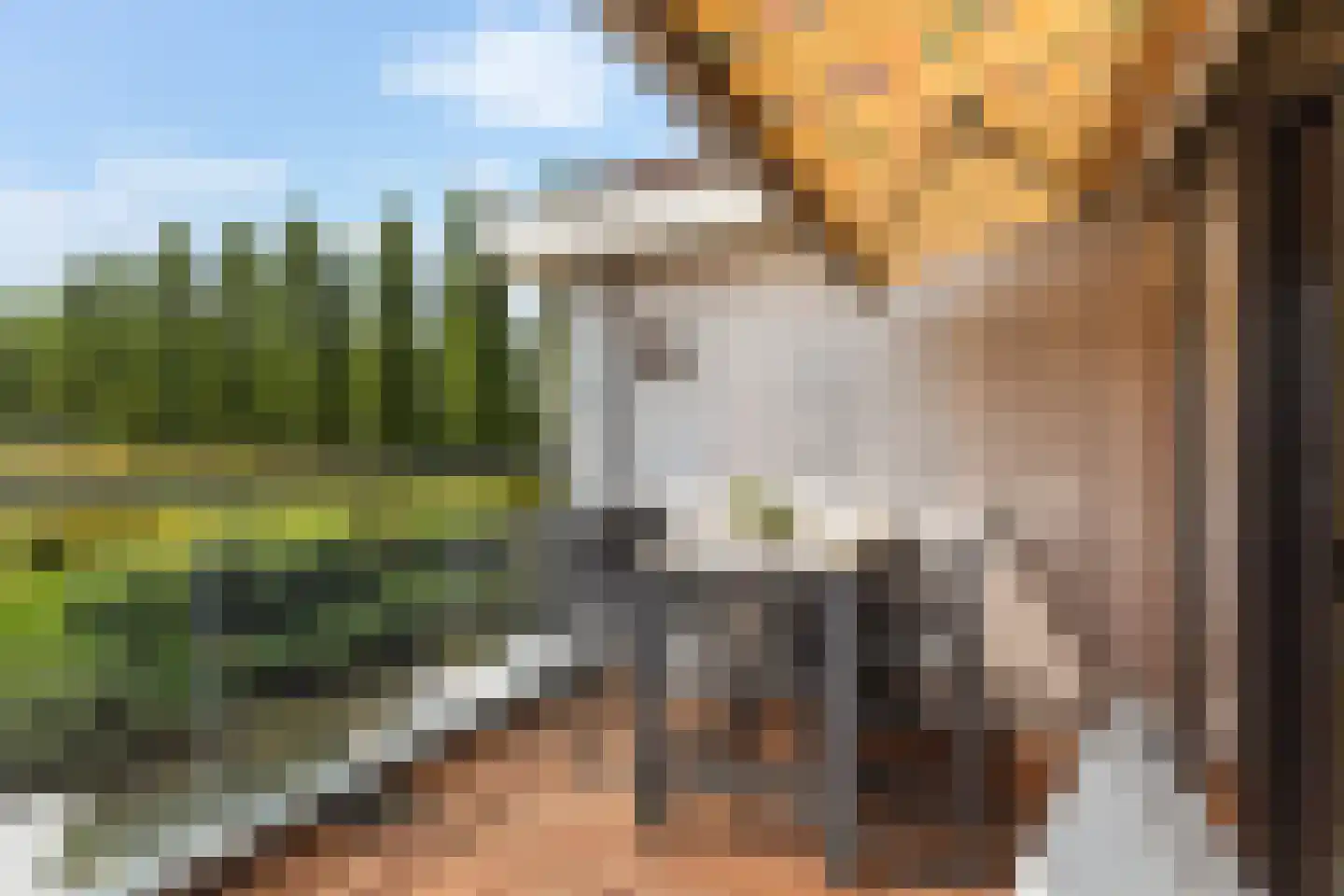 Amazone 3 Dordrecht thumbnail 37
