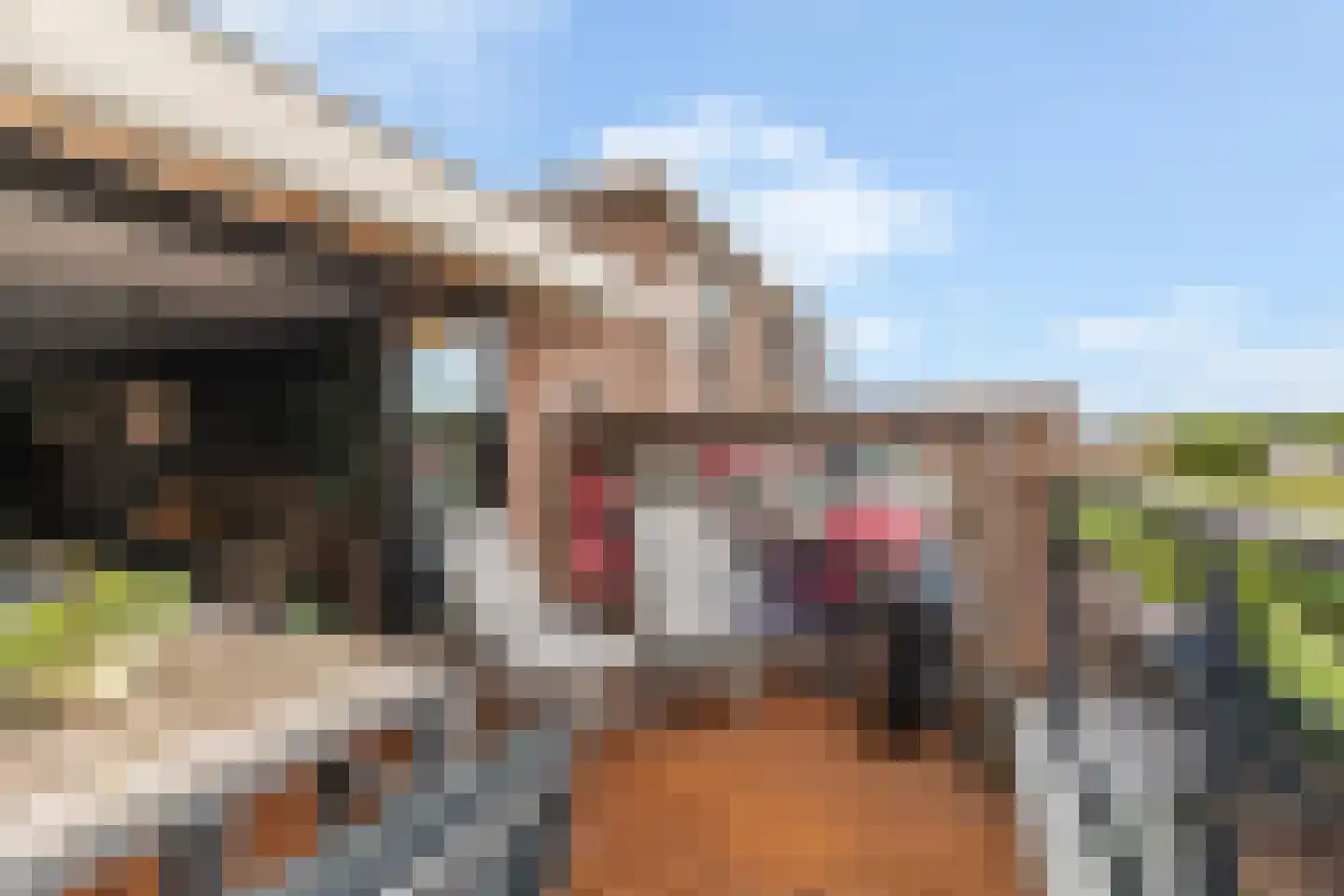 Amazone 3 Dordrecht thumbnail 39