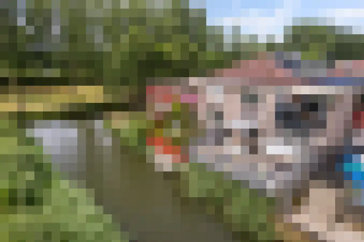 Amazone 3 Dordrecht thumbnail 4