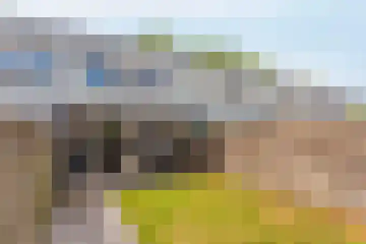 Amazonedreef 24 Utrecht thumbnail 15