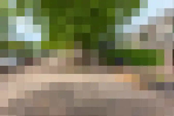 Amazonedreef 24 Utrecht thumbnail 29