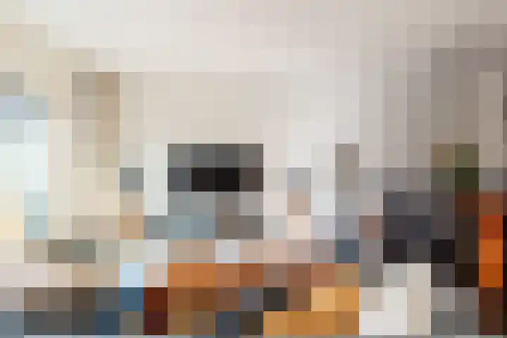 Amazonelaan 112 Purmerend thumbnail 22