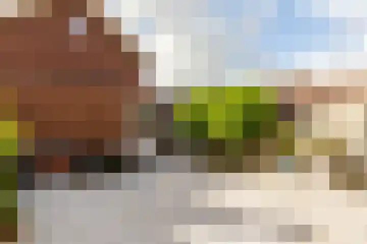 Amazonelaan 112 Purmerend thumbnail 43