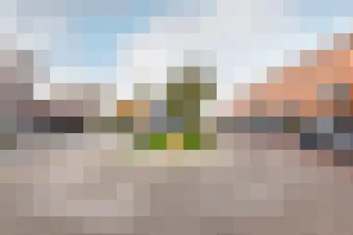 Amazonelaan 112 Purmerend thumbnail 48