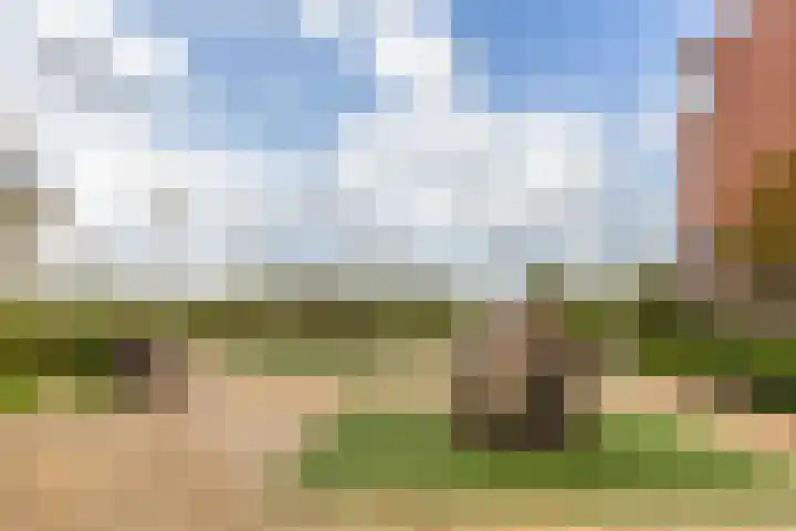 Amazonelaan 112 Purmerend thumbnail 49