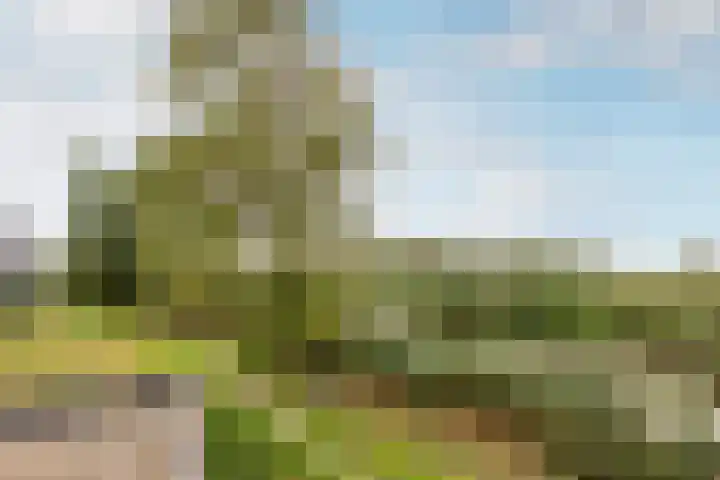 Amazonelaan 112 Purmerend thumbnail 50