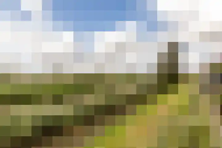 Amazonelaan 112 Purmerend thumbnail 51