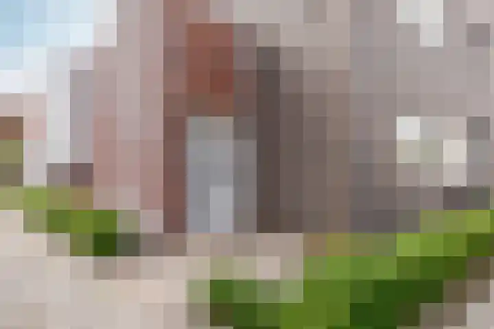 Amazonelaan 112 Purmerend thumbnail 7