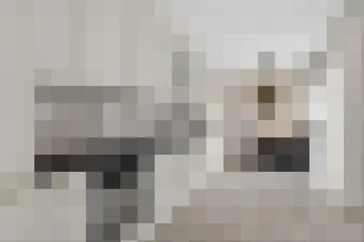 Amazonelaan 132 Purmerend thumbnail 15
