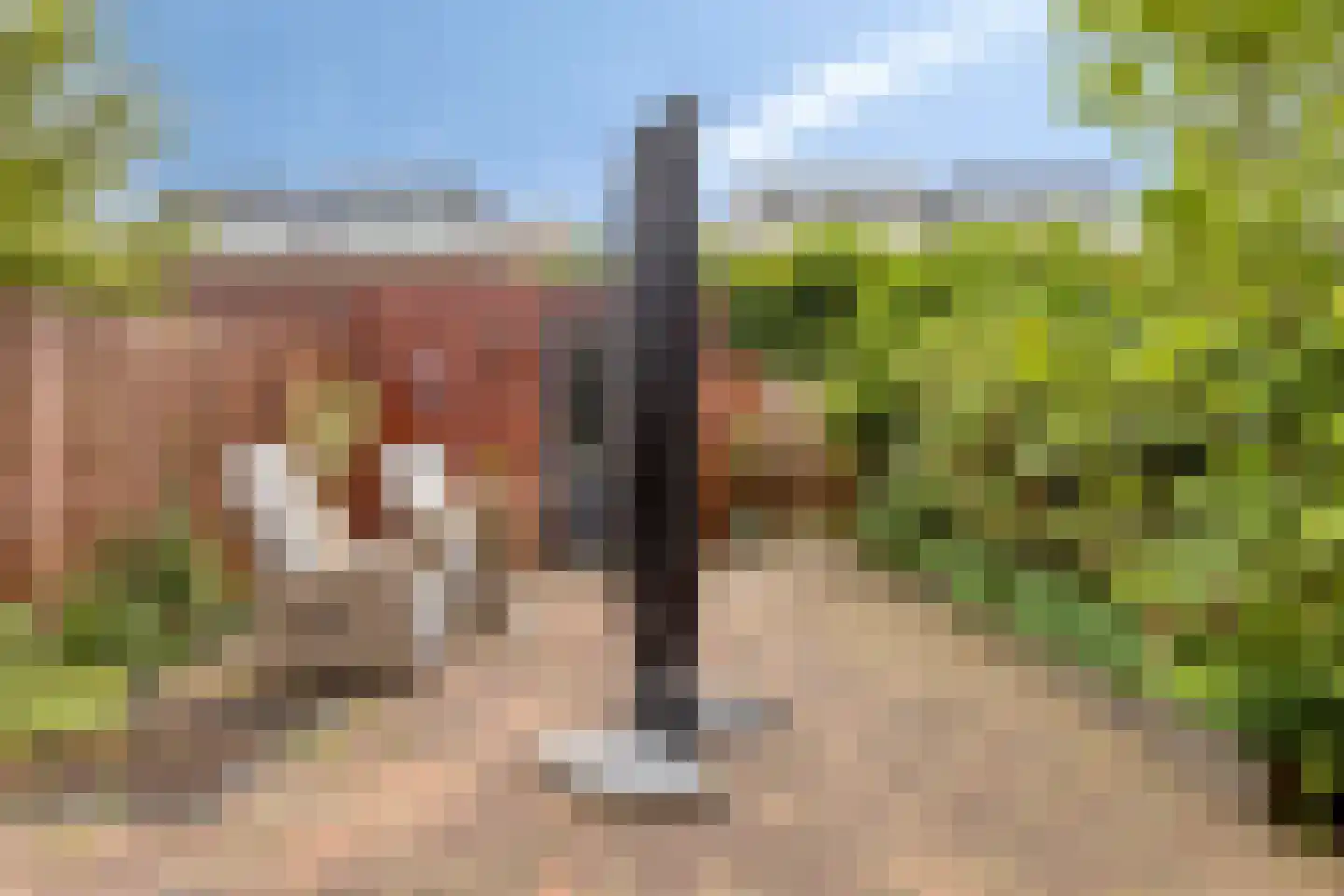 Amazonelaan 181 Purmerend thumbnail 31