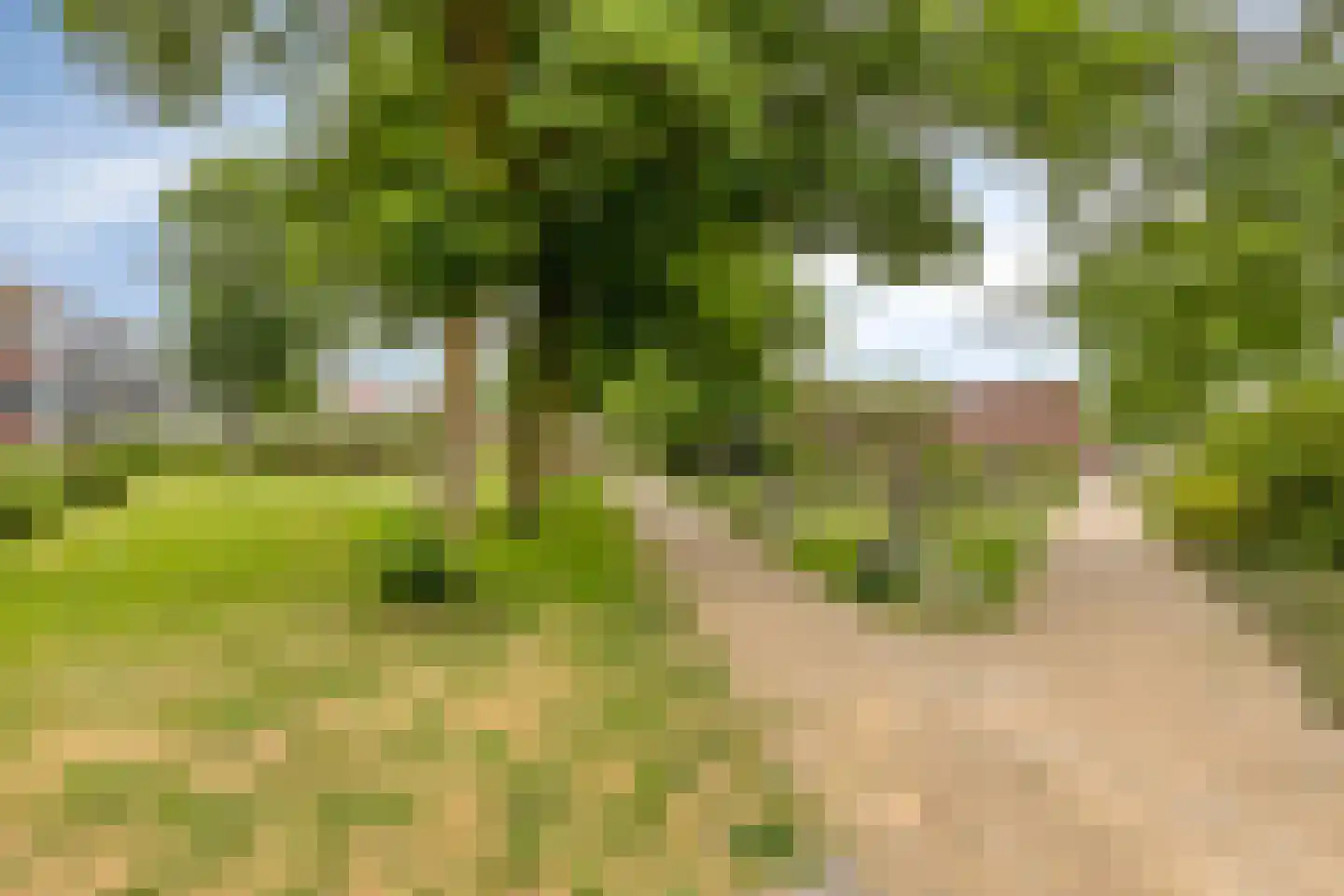 Amazonelaan 181 Purmerend thumbnail 36