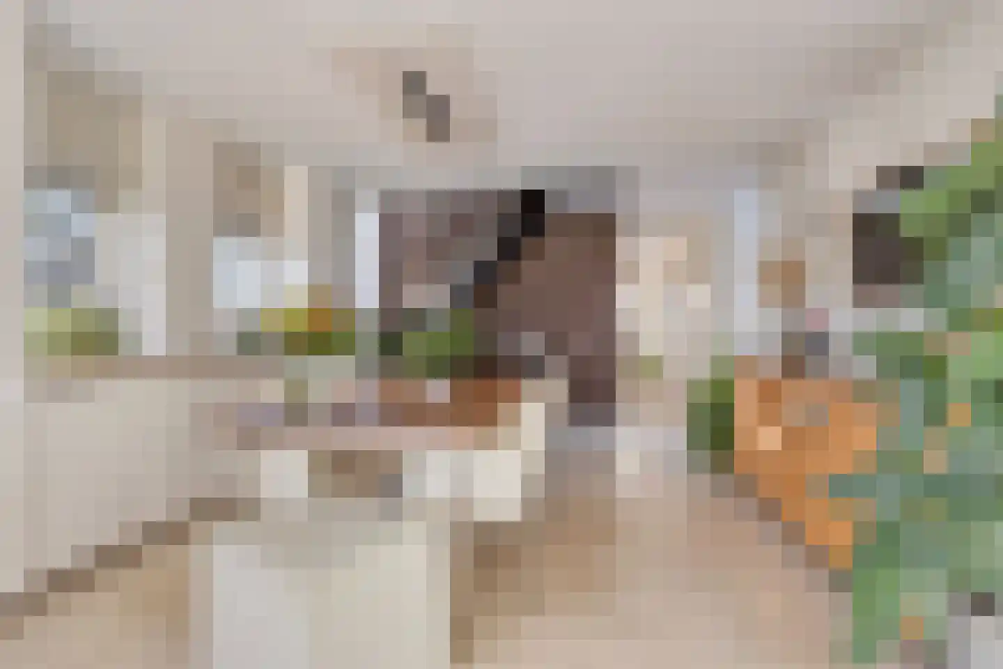 Amazonelaan 2 Purmerend thumbnail 12