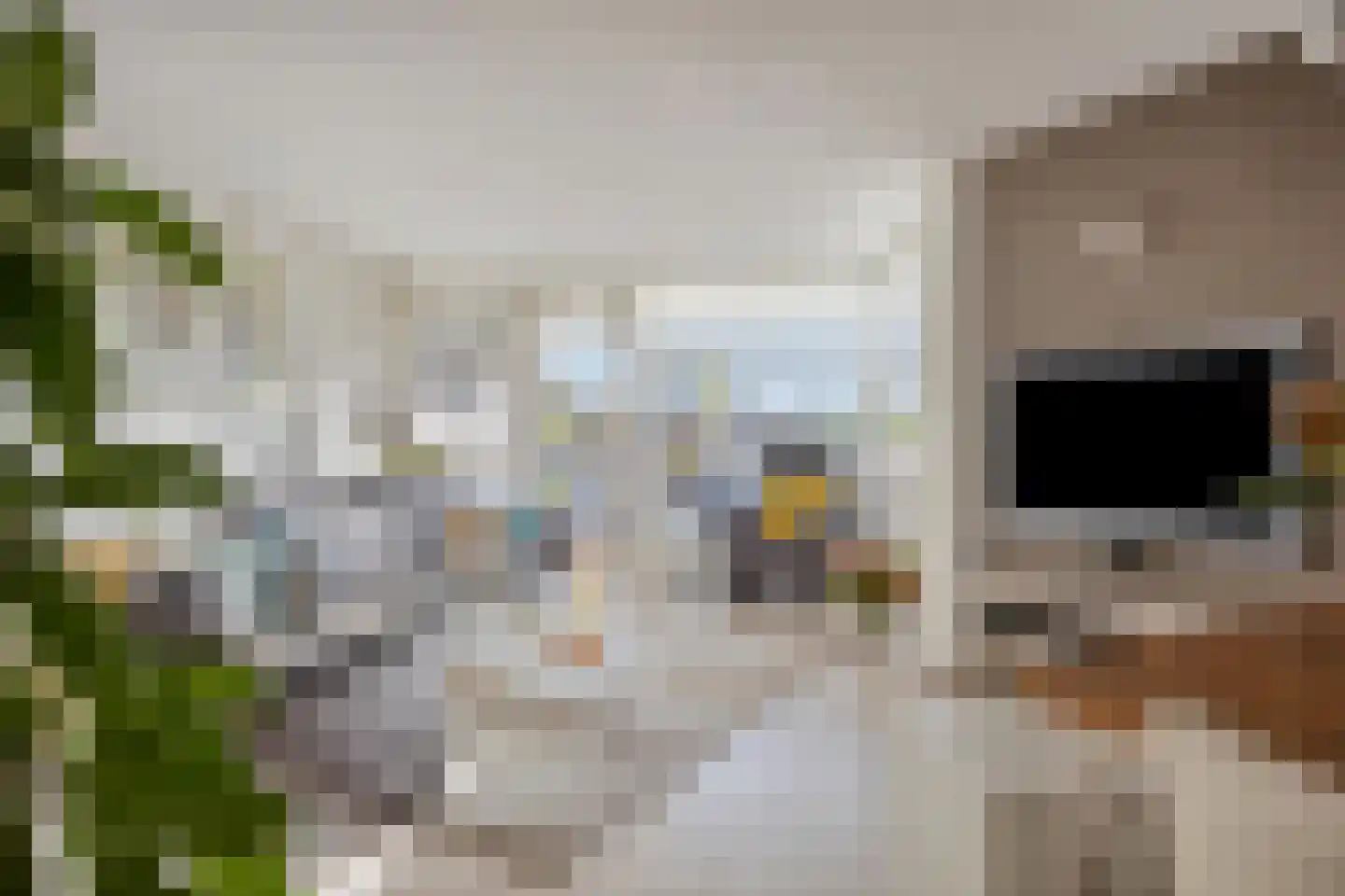 Amazonelaan 2 Purmerend thumbnail 13