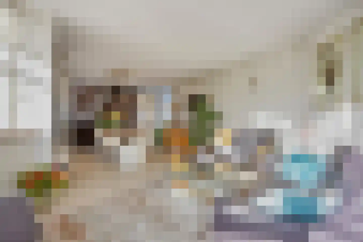 Amazonelaan 2 Purmerend thumbnail 15