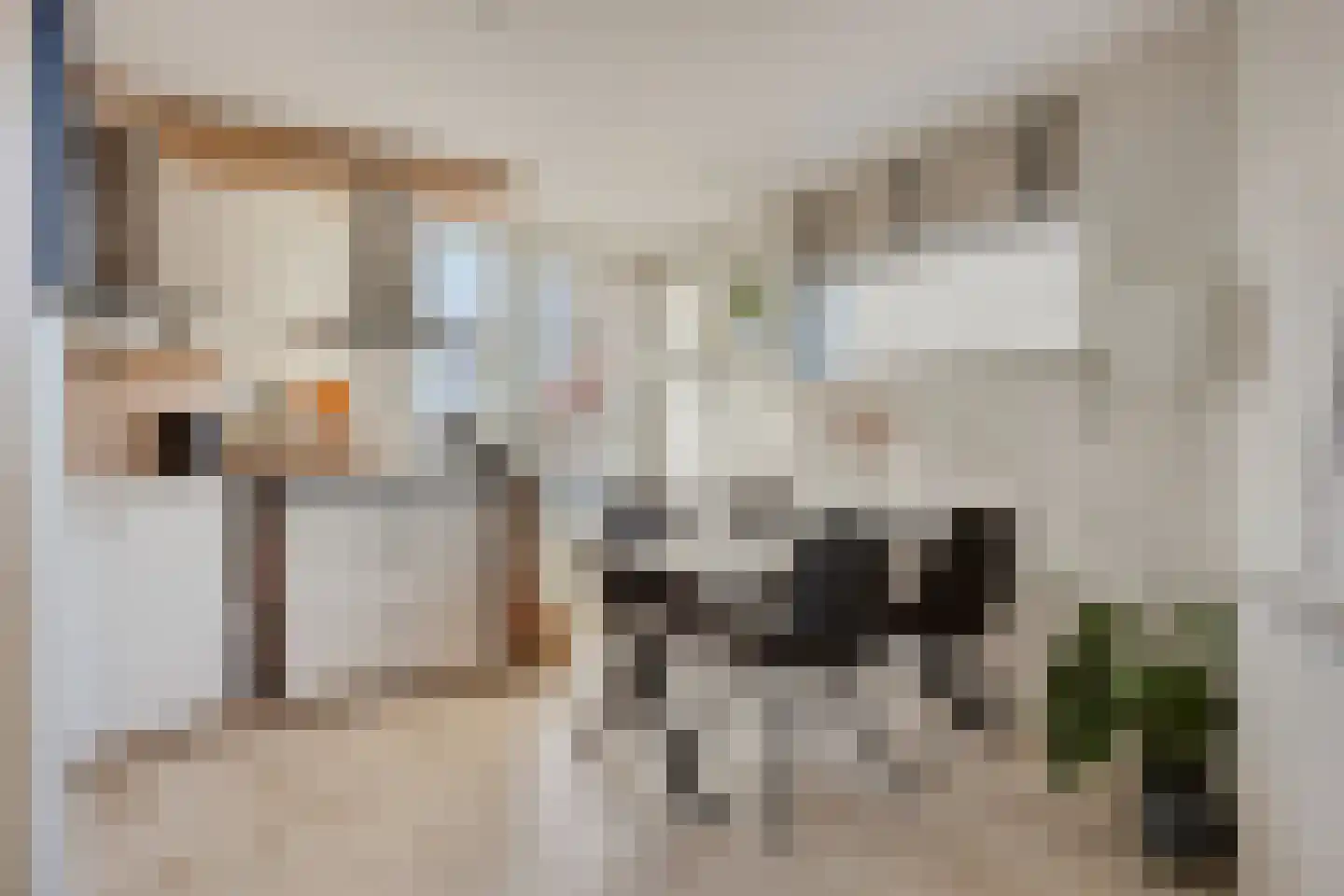 Amazonelaan 2 Purmerend thumbnail 18
