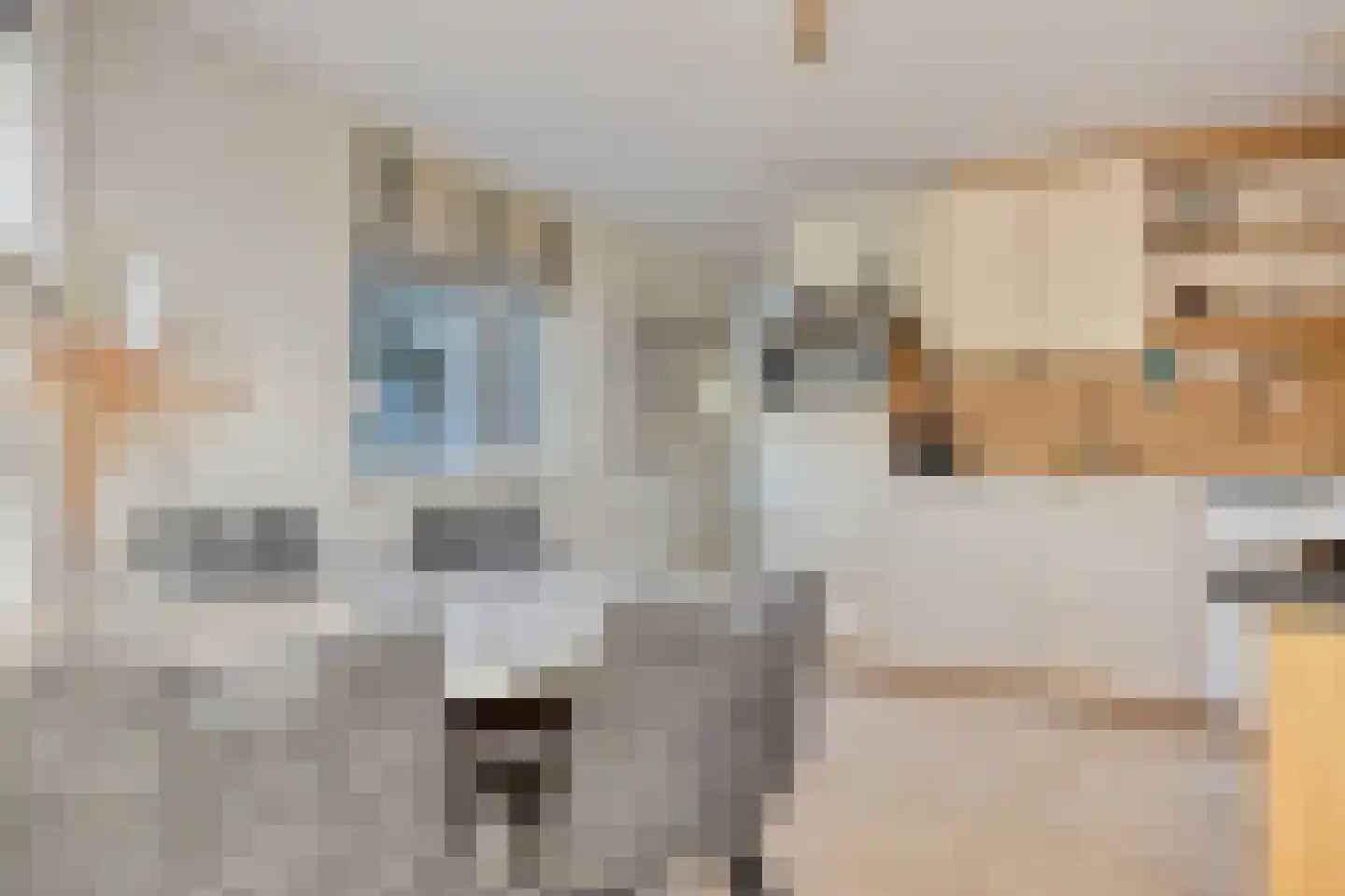 Amazonelaan 2 Purmerend thumbnail 19