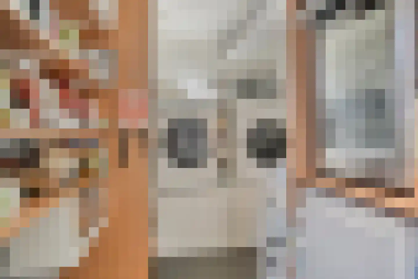 Amazonelaan 2 Purmerend thumbnail 22