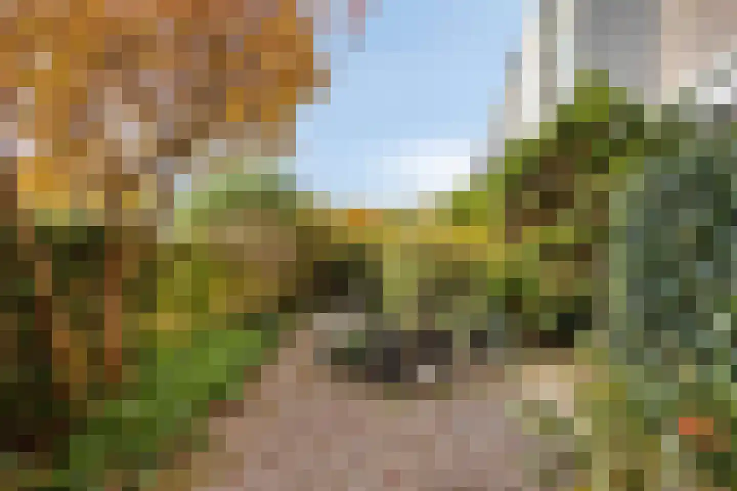 Amazonelaan 2 Purmerend thumbnail 36