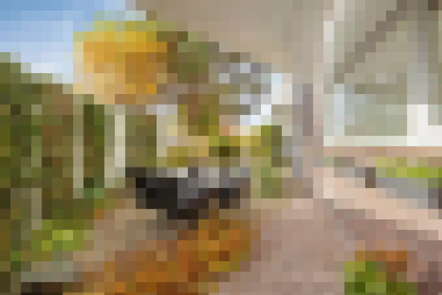 Amazonelaan 2 Purmerend thumbnail 37