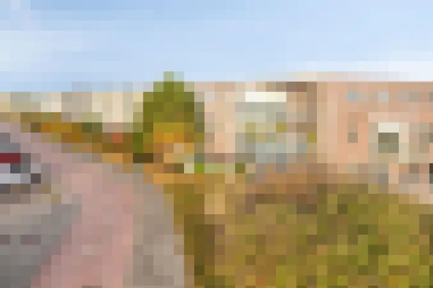 Amazonelaan 2 Purmerend thumbnail 46