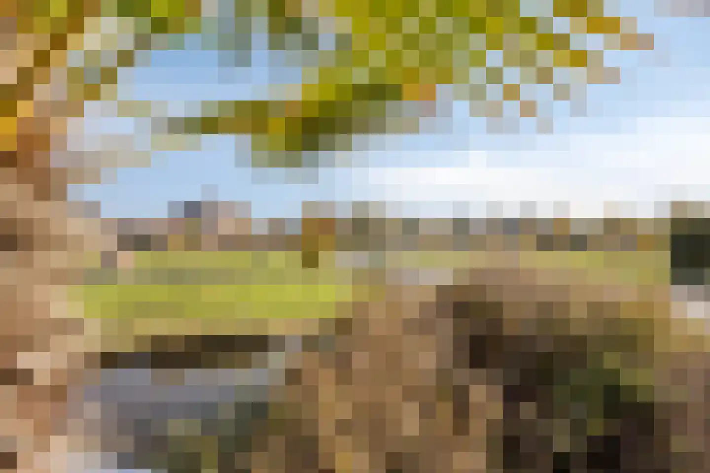 Amazonelaan 2 Purmerend thumbnail 6