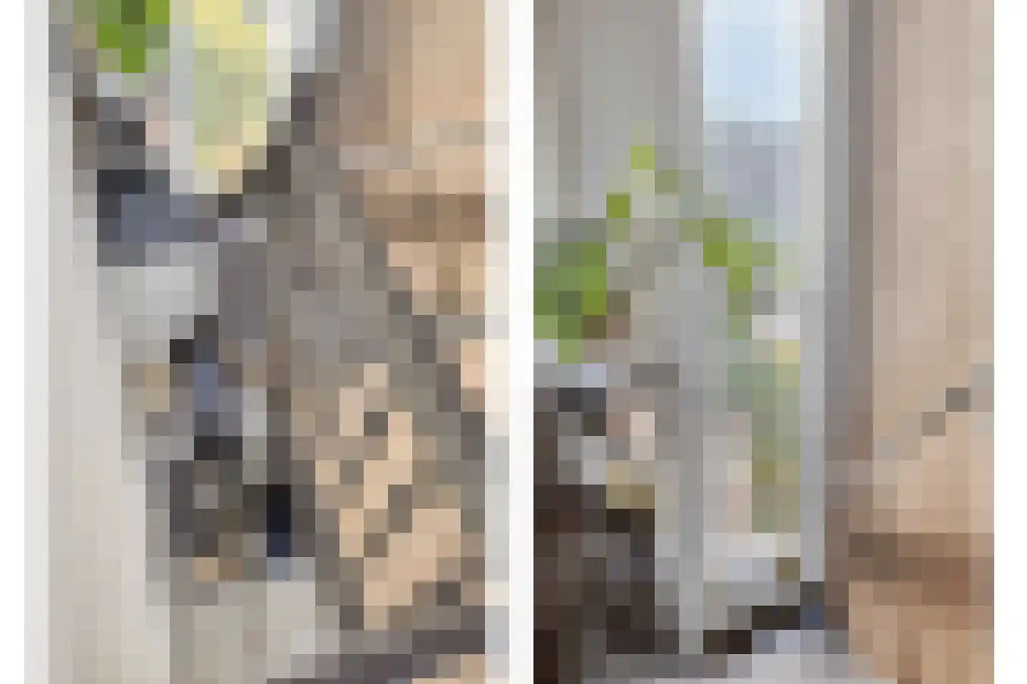 Amazonelaan 2 Purmerend thumbnail 9