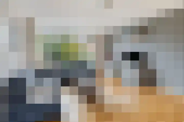 Amazonelaan 45 Purmerend thumbnail 12