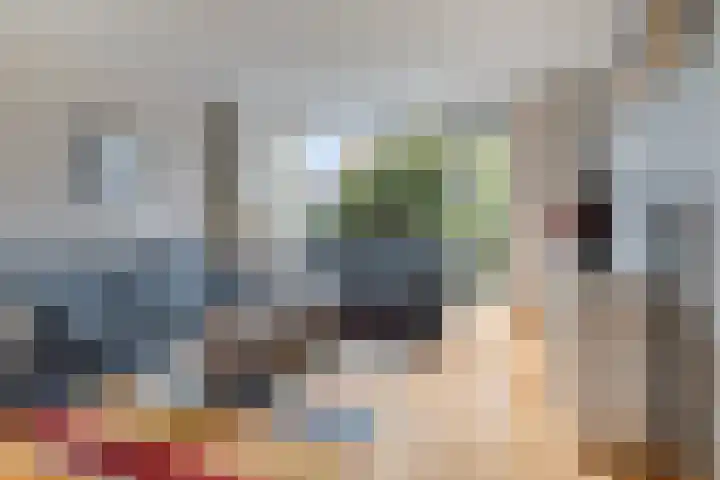Amazonelaan 45 Purmerend thumbnail 13