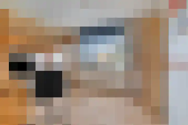 Amazonelaan 45 Purmerend thumbnail 23