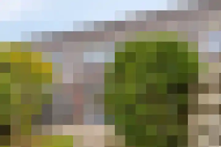 Amazonelaan 45 Purmerend thumbnail 34