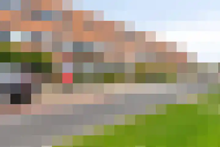 Amazonelaan 45 Purmerend thumbnail 36