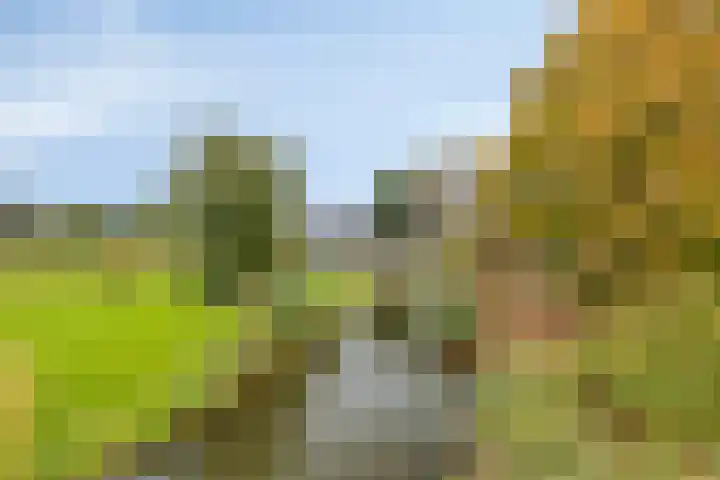 Amazonelaan 45 Purmerend thumbnail 38
