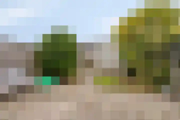 Amazonelaan 45 Purmerend thumbnail 4