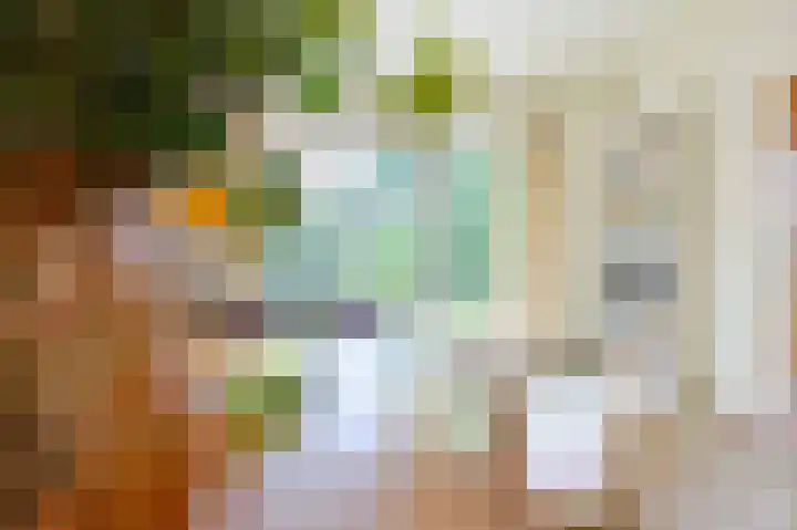 Amazonenlaan 9 Eindhoven thumbnail 15