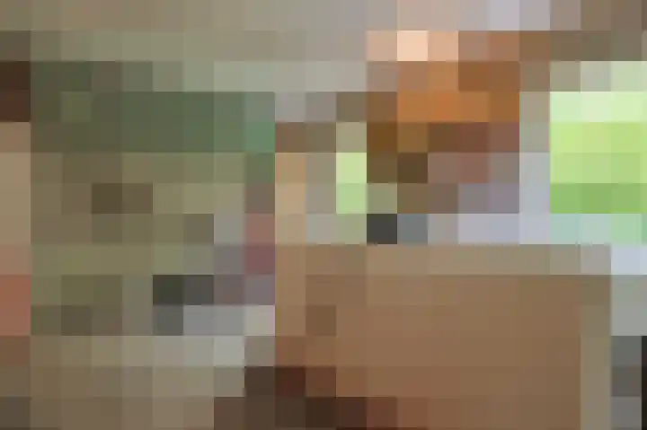 Amazonenlaan 9 Eindhoven thumbnail 18
