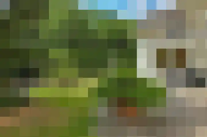 Amazonenlaan 9 Eindhoven thumbnail 24