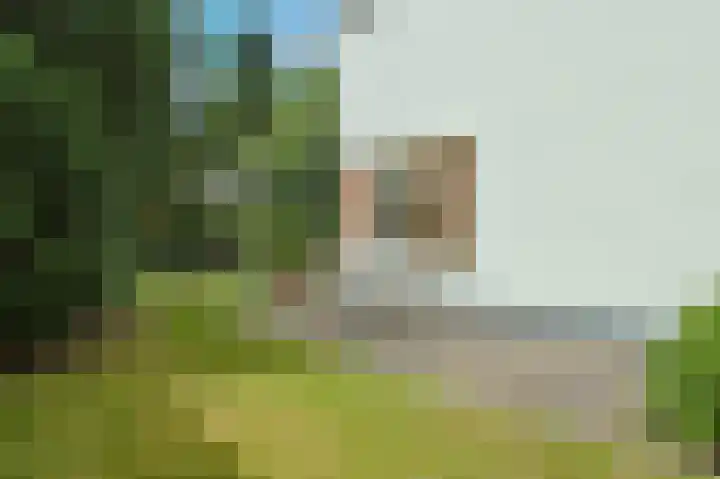 Amazonenlaan 9 Eindhoven thumbnail 25
