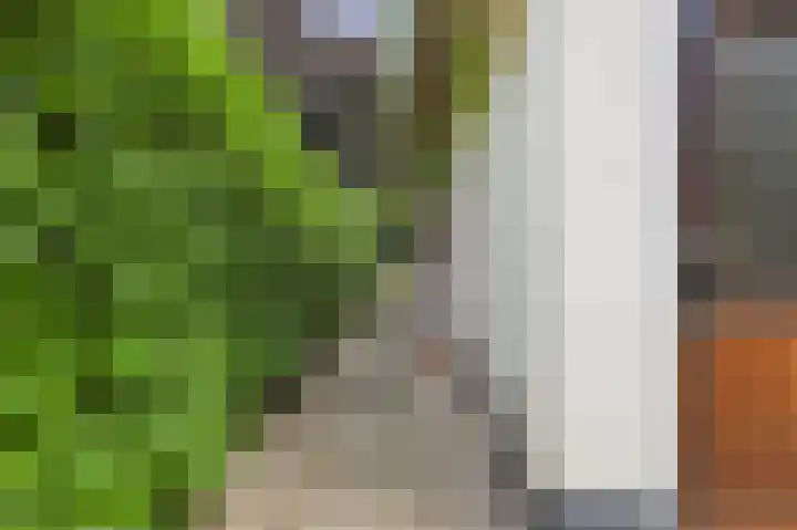 Amazonenlaan 9 Eindhoven thumbnail 26