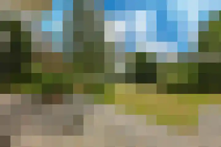 Amazonenlaan 9 Eindhoven thumbnail 28