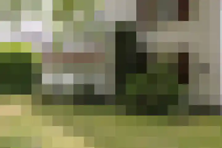Amazonenlaan 9 Eindhoven thumbnail 5