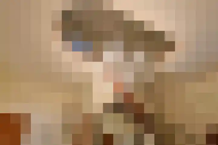 Amazonenlaan 9 Eindhoven thumbnail 7