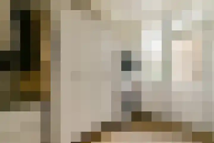 Amazonenstraat 1 1 Amsterdam thumbnail 18